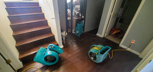 Best 24/7 water damage repair  in St Marys, PA