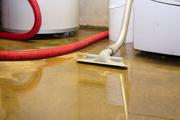 Best Water damage restoration near me  in St Marys, PA